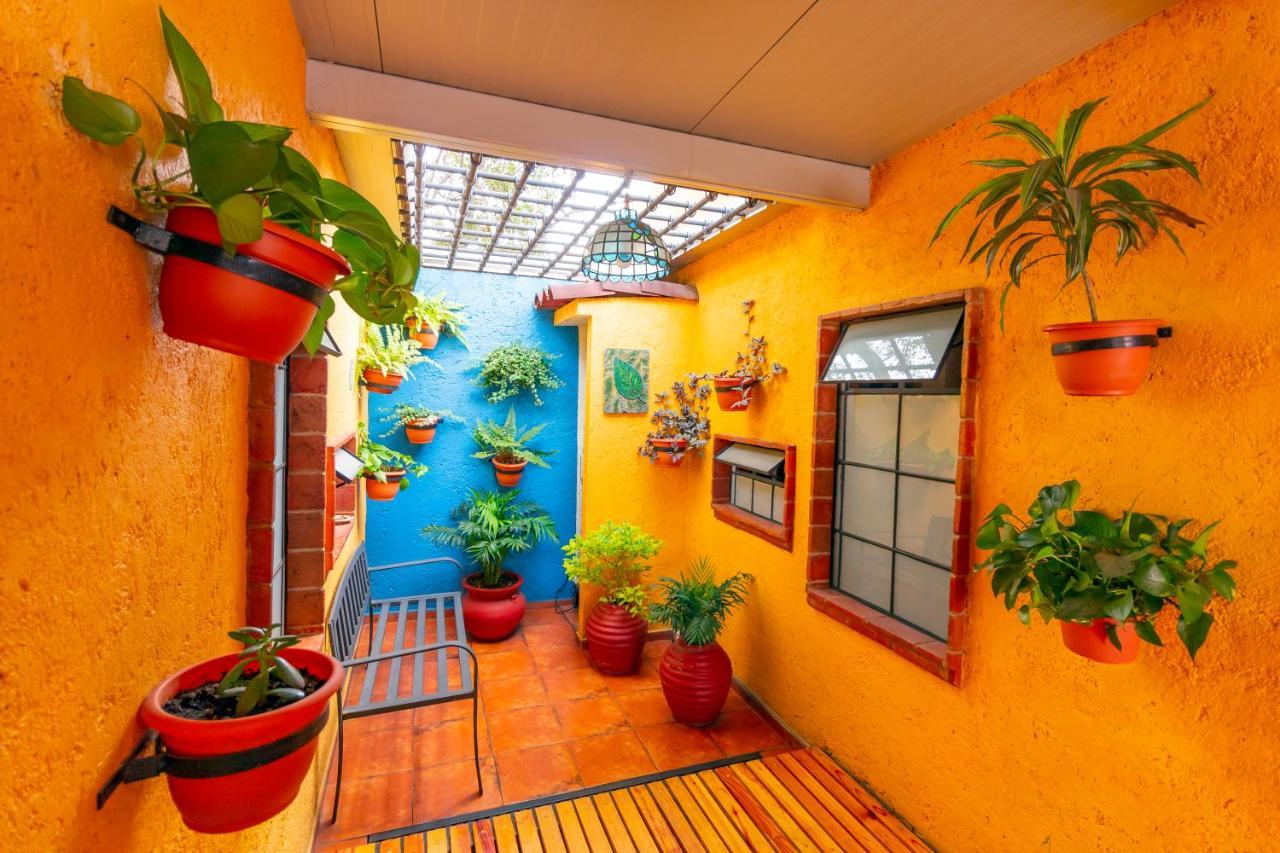 Mex Suites Casa Azul B&B Mexico Extérieur photo