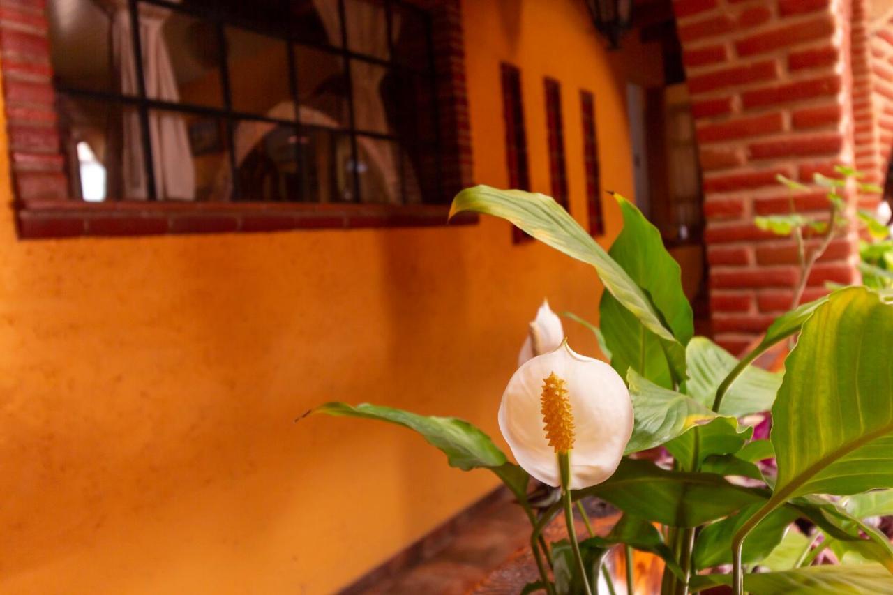 Mex Suites Casa Azul B&B Mexico Extérieur photo