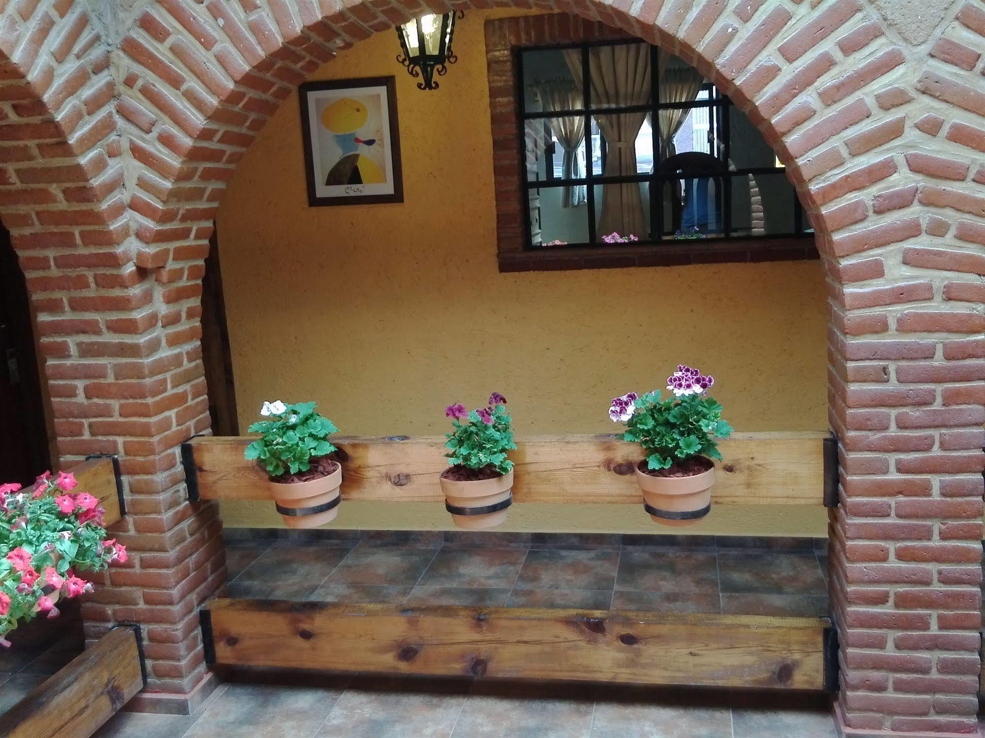 Mex Suites Casa Azul B&B Mexico Extérieur photo