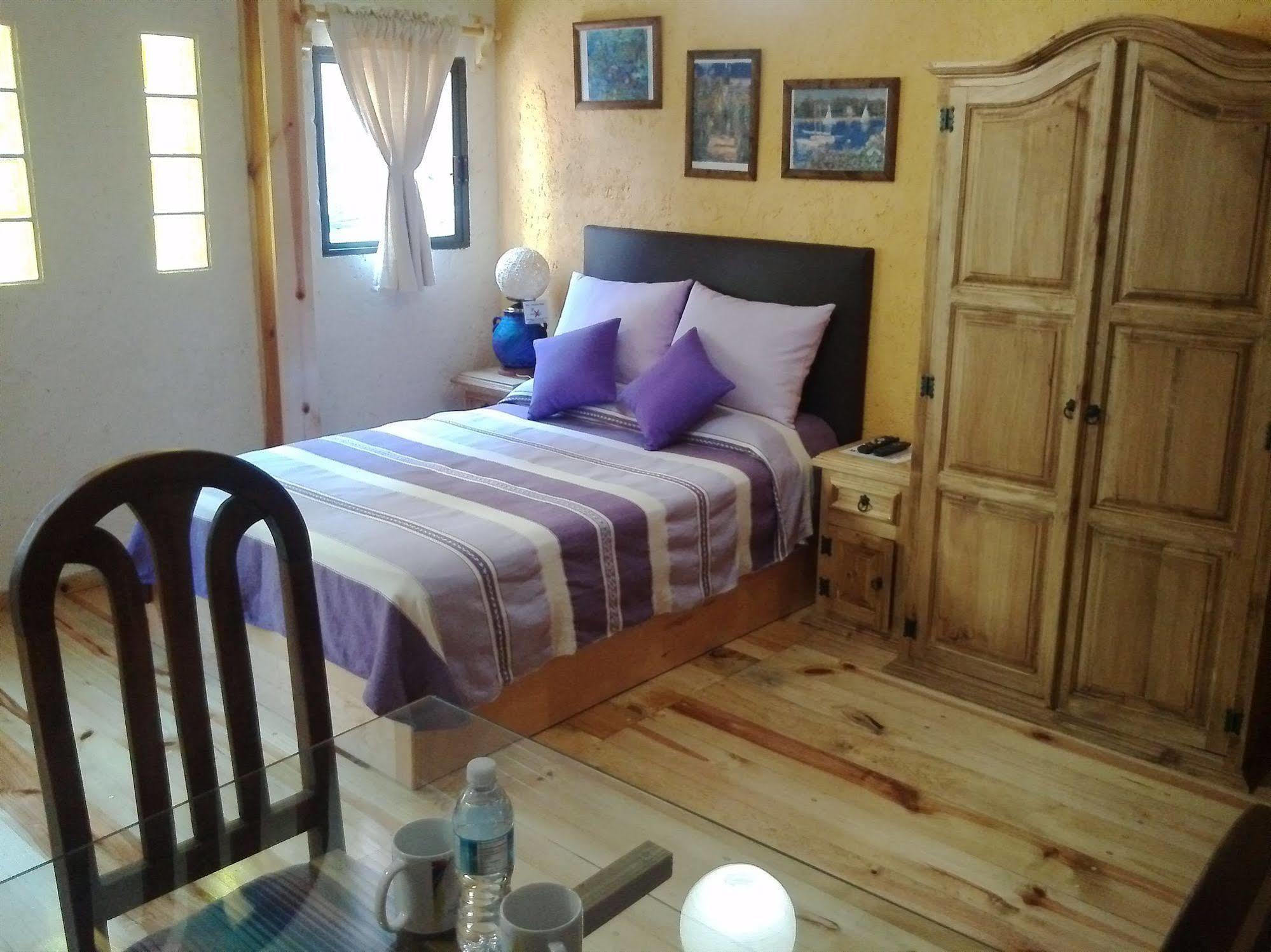 Mex Suites Casa Azul B&B Mexico Extérieur photo