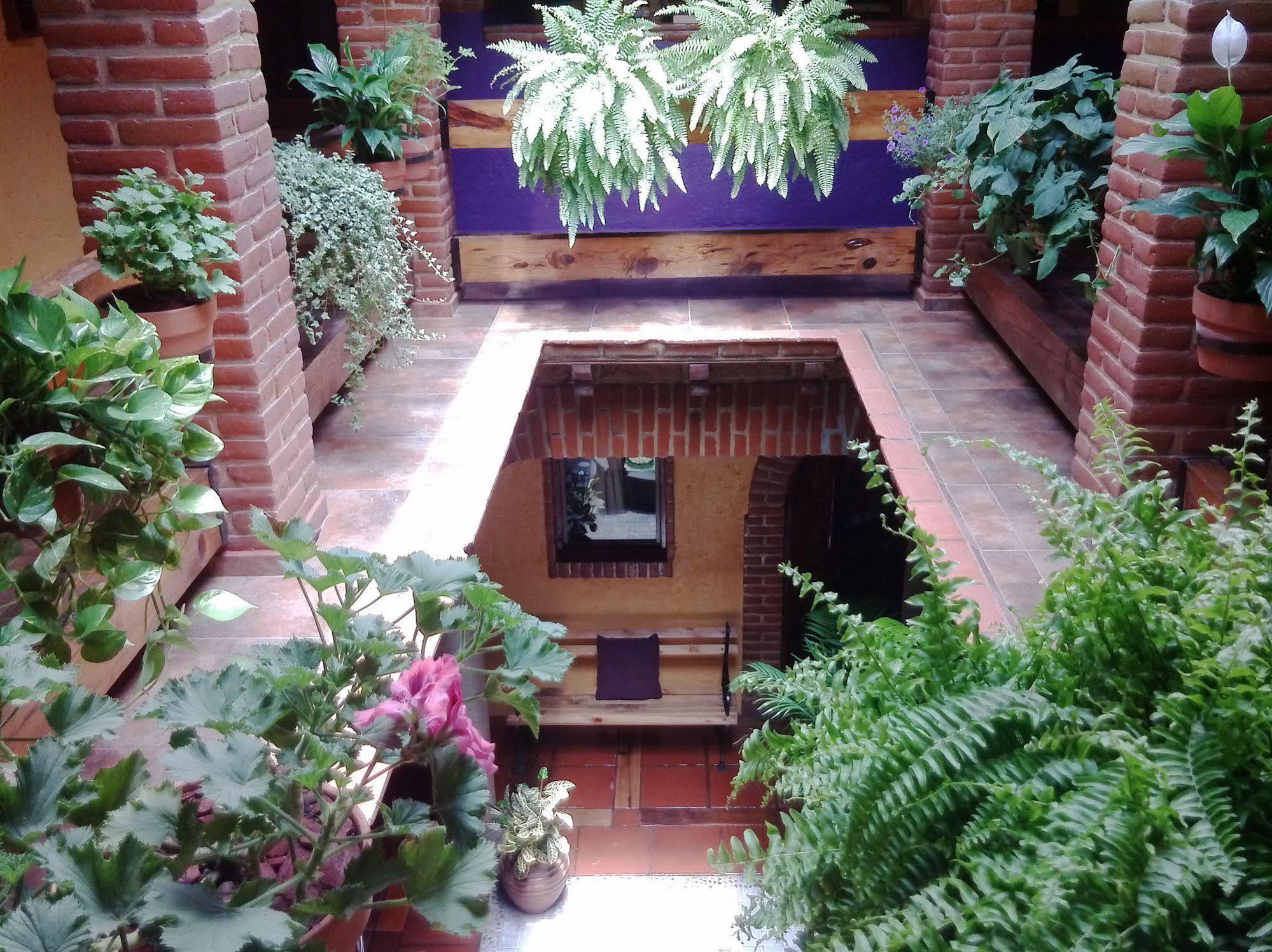 Mex Suites Casa Azul B&B Mexico Extérieur photo