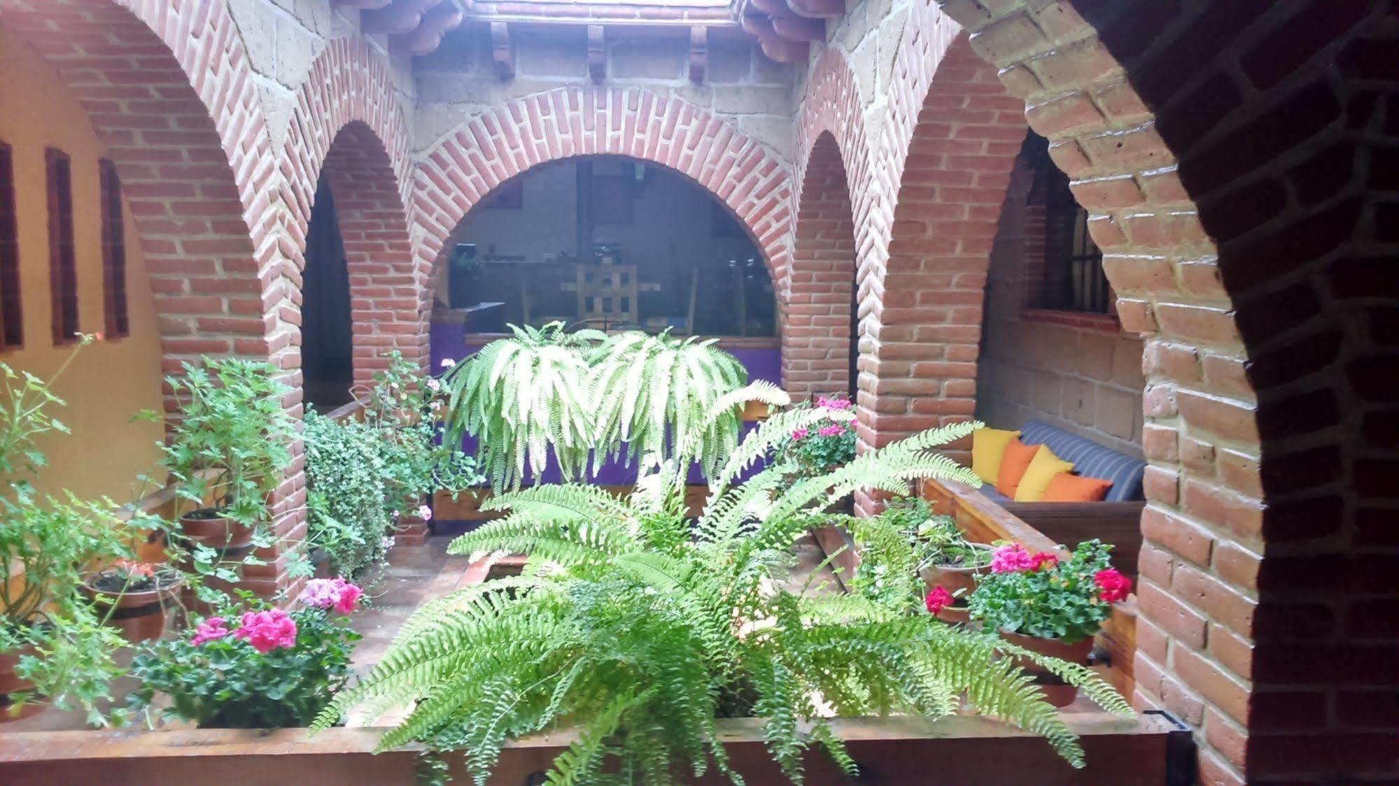 Mex Suites Casa Azul B&B Mexico Extérieur photo